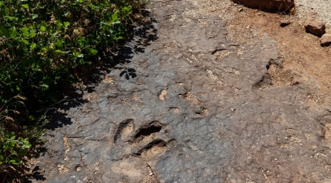 Науката възкресява миналото: Древни отпечатъци издадоха праисторически тайни
