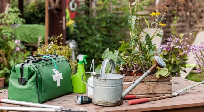 Как да спасите растенията си от недостиг на хранителни вещества – основни признаци и решения