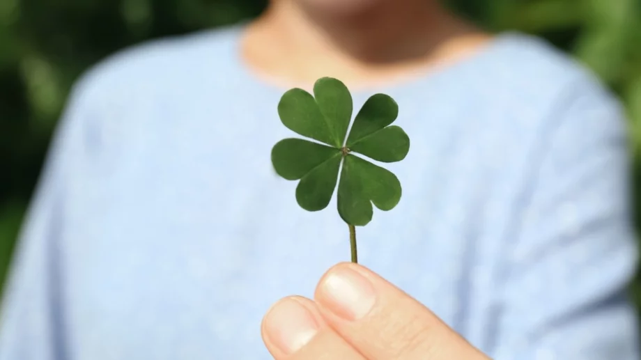 Чудно късметче за всяка зодия за 6 май 2025