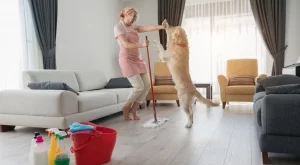 Подовете ще отблъскват праха, ако ги почистите с тази смес