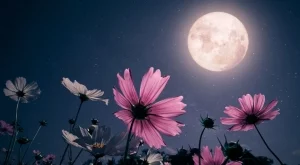 Пълнолуние в Скорпион на 12 май 2025: Как да сбъднем мечтите си