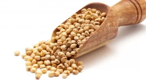 Соргото може би е най-недооценената суперхрана, научете защо