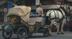 5 нестандартни начина да се придвижваш без градски транспорт