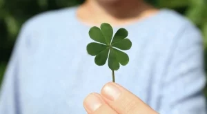 Чудно късметче за всяка зодия за 19 май 2025