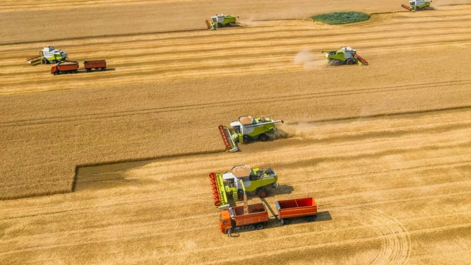 Страна с голямо население увеличава вноса на пшеница от България
