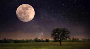 Как пълнолунието на 11 юни ще се отрази на всяка зодия