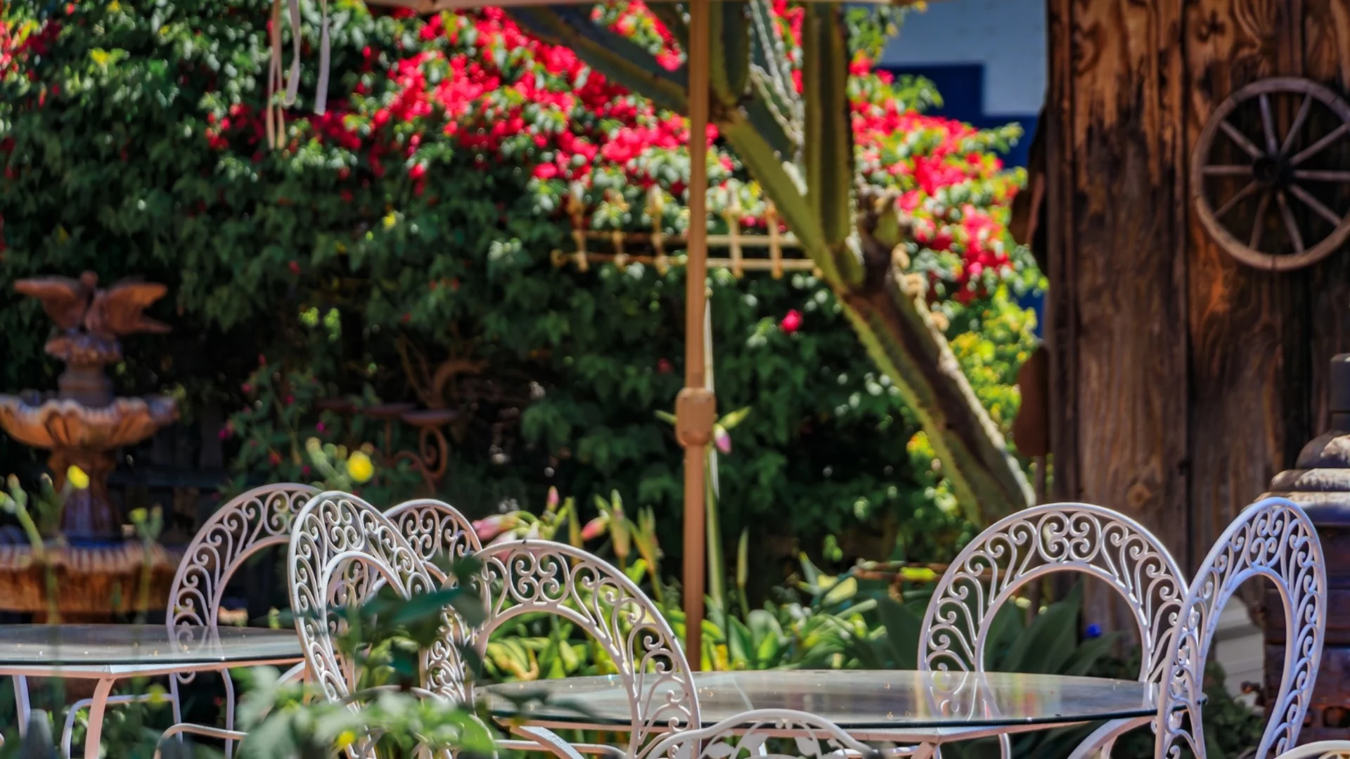 7 заведения с летни градини, в които ще се влюбите