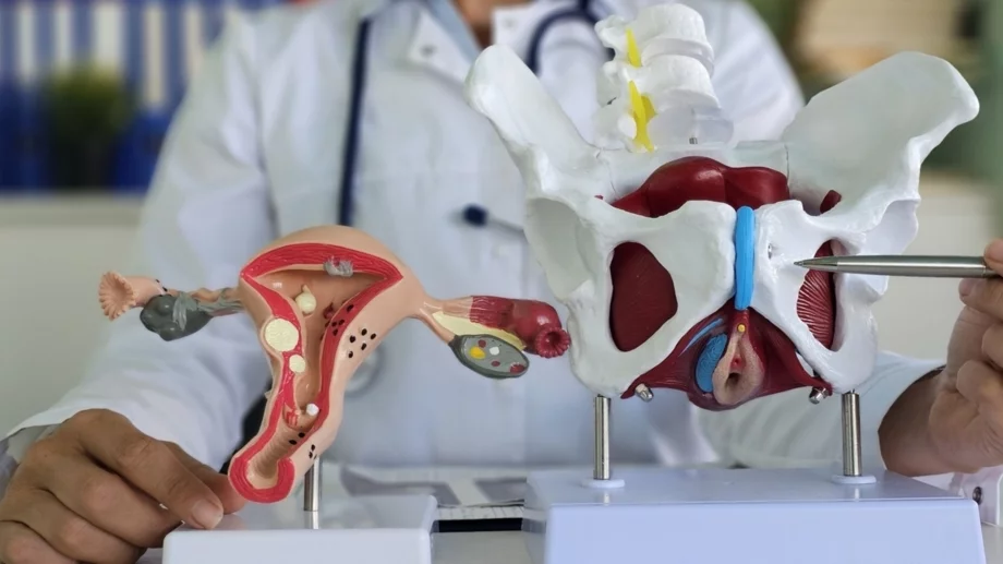 7 важни неща за тазовото дъно, от които жените могат да се възползват