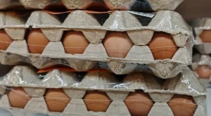 Нито в картонената опаковка, нито на вратата на хладилника: Ето къде да държите яйцата