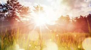 Значение на лятното слънцестоене 2025: Какво точно се случва на тази дата?