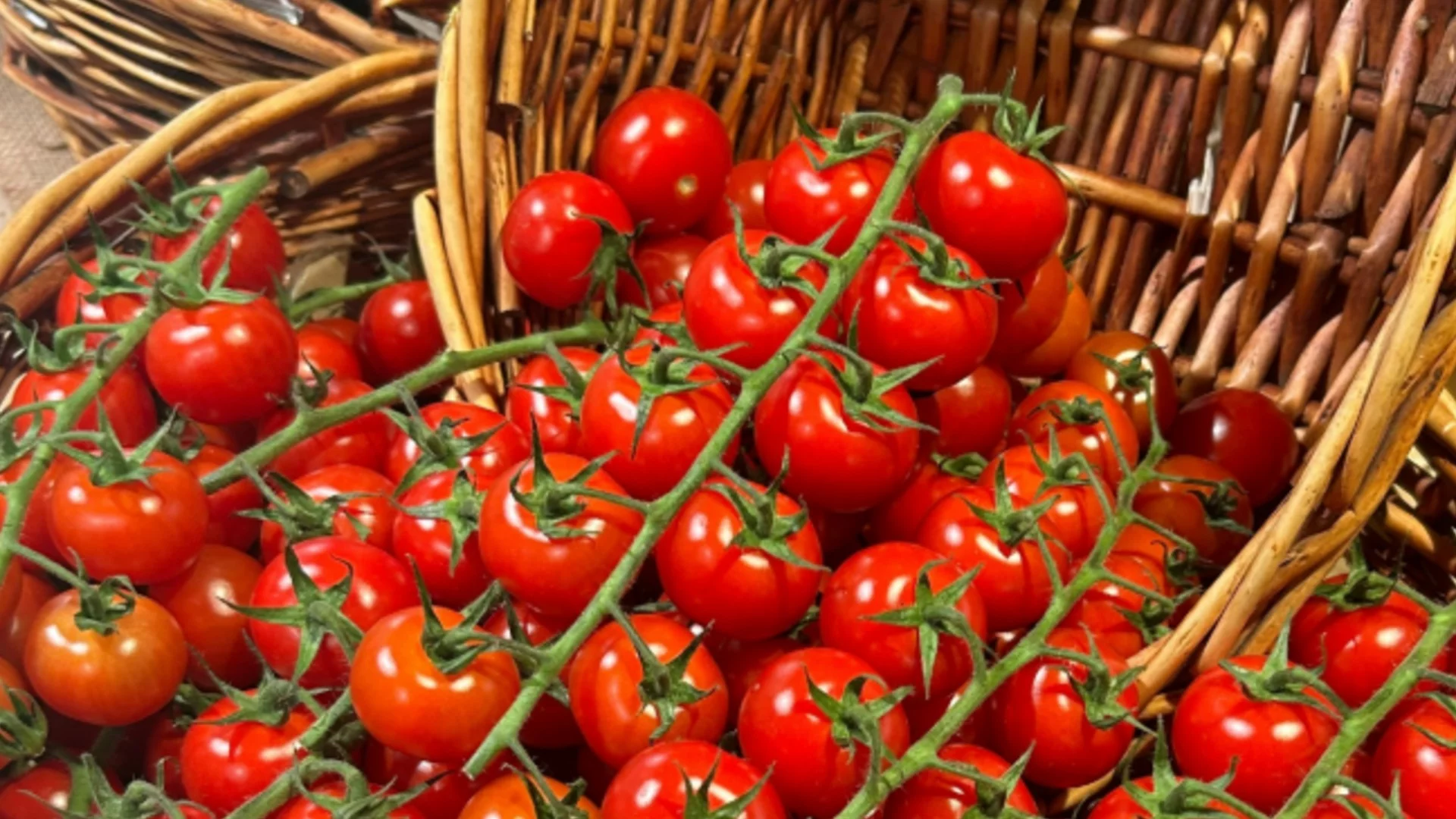 Най-ефективните торове срещу мана по доматите: 2 супер лесни разтвора