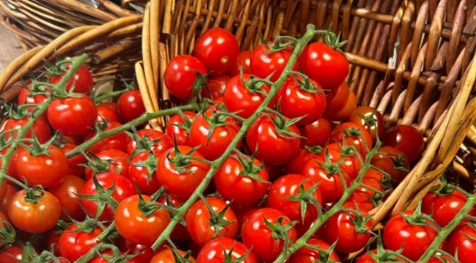 Най-ефективните торове срещу мана по доматите: 2 супер лесни разтвора