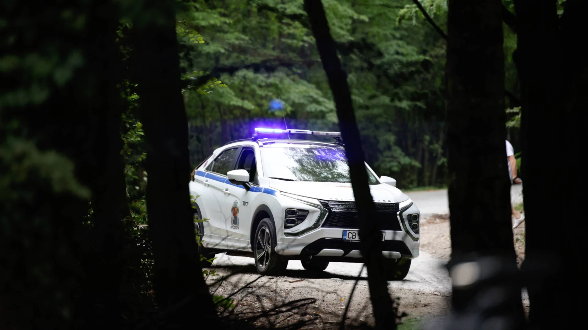 Полицията на крак: Издирват рядко срещан хищник в наш град