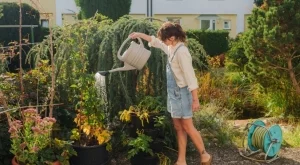 4 признака, че вашите растения спешно се нуждаят от торене