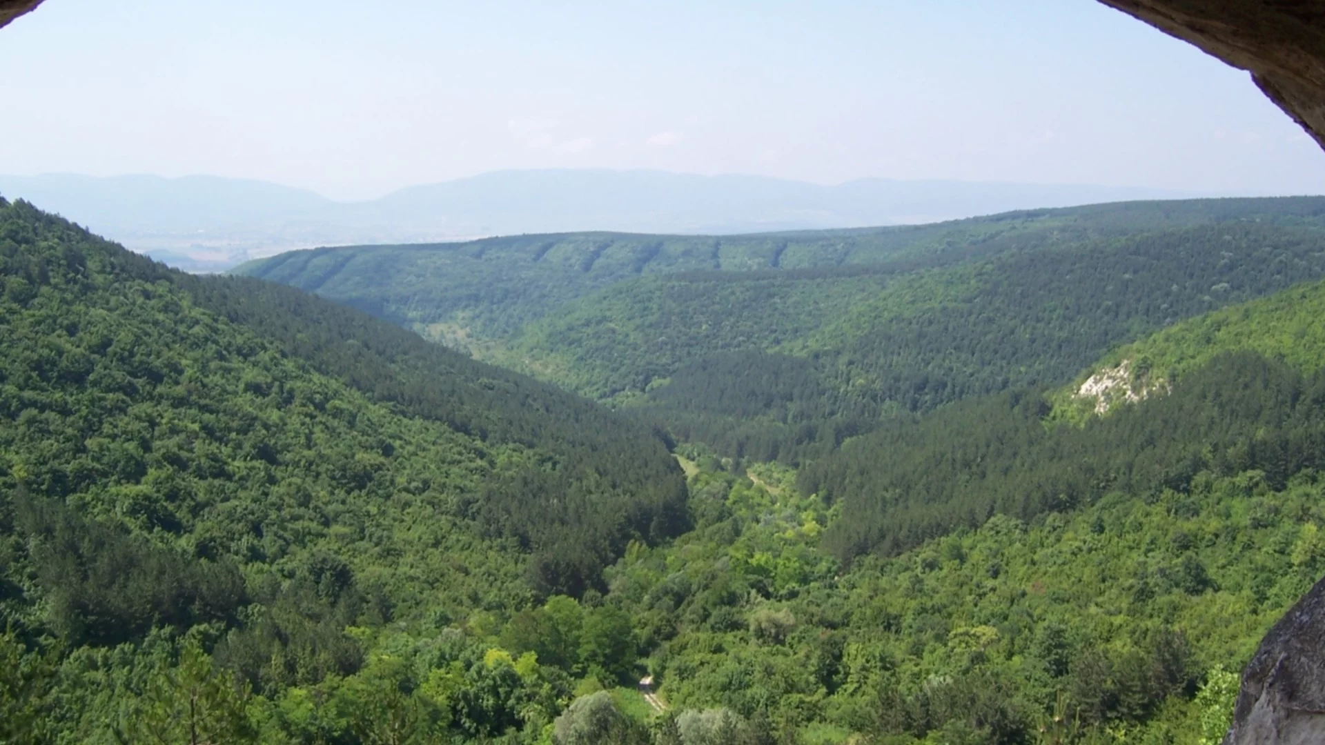 Заради черната котка: Община Шумен ще компенсира загубите на заведенията в Шуменското плато