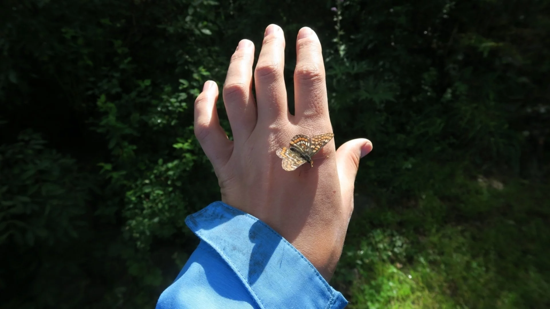 На каква възраст идват най-важните хора в живота ни