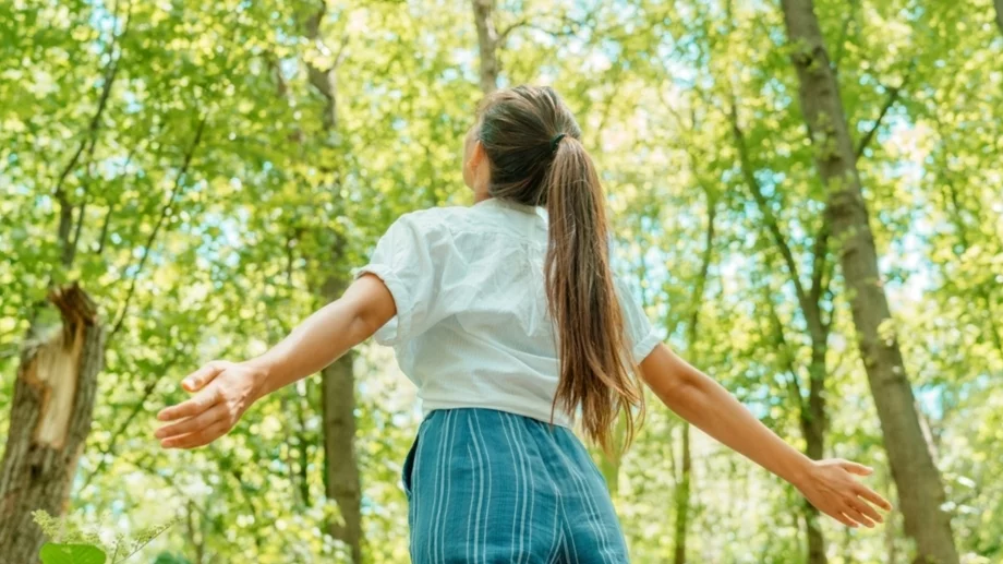 Вашият келтски зодиакален знак и какво казва той за вас
