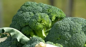 Неизвестни странични ефекти на броколите, за които да внимавате 