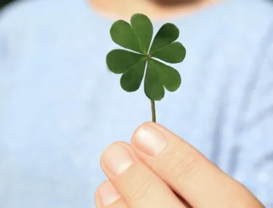 Чудно късметче за всяка зодия за 6 август 2025