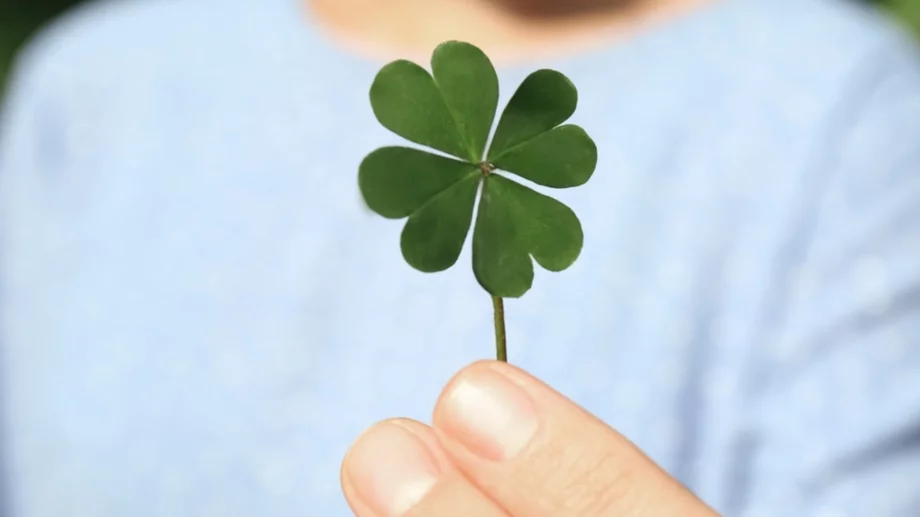 Чудно късметче за всяка зодия за 6 август 2025