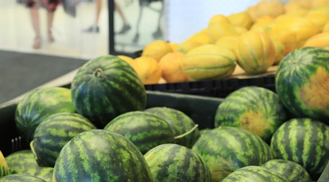 Как да се преборим с кубинската мана по пъпешите?