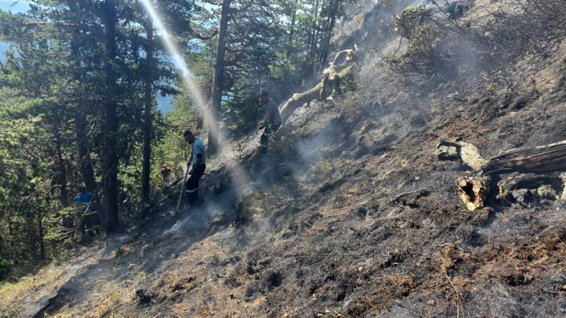 Пирин отново гори, пожарът се насочва към Природния парк