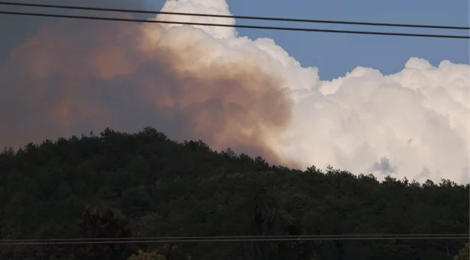 Пламнаха 50 дка гора в района на кърджалийско село