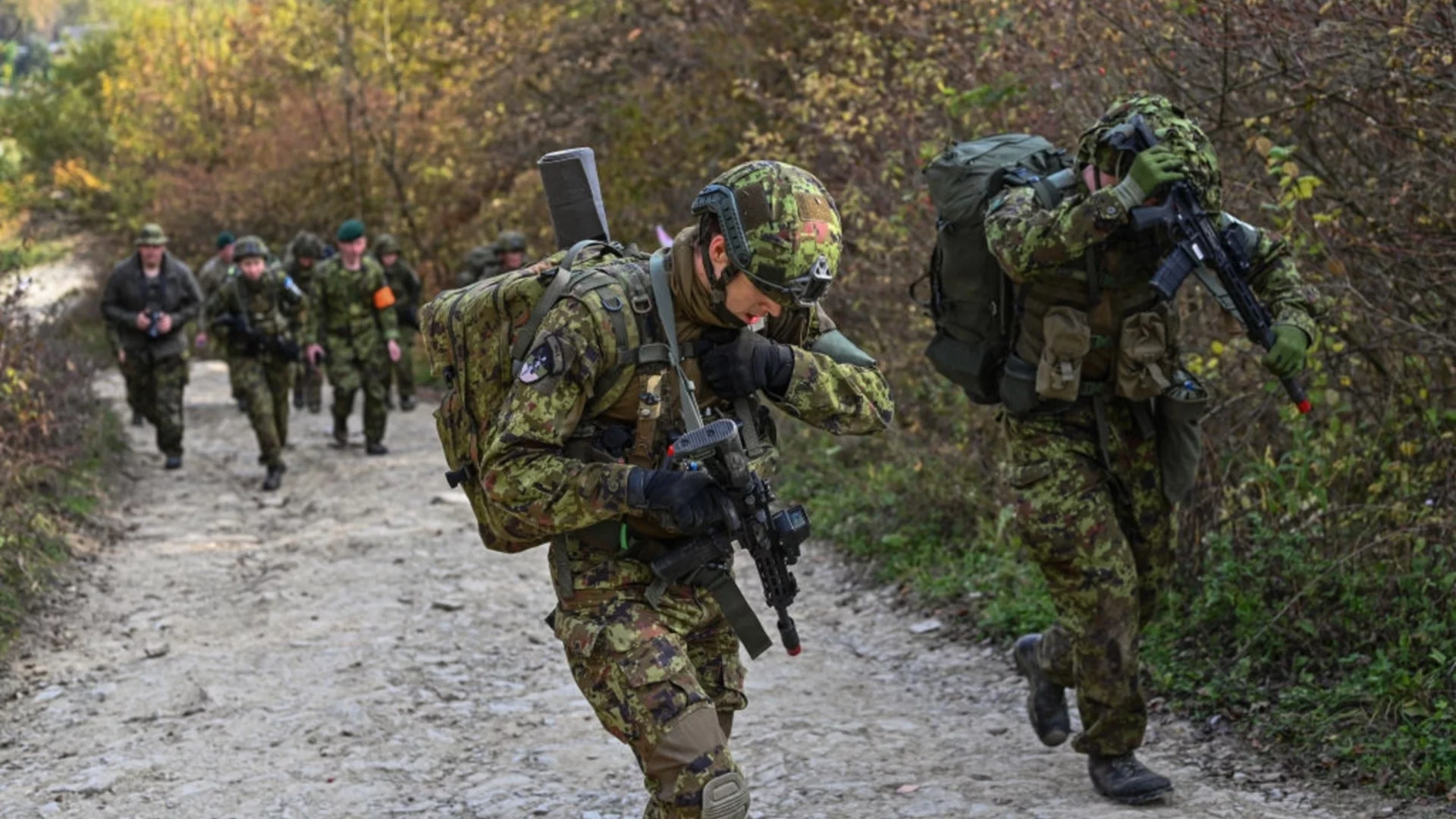 Естония откри украински дрон на своя територия, Русия го е заглушила и отклонила (СНИМКИ)