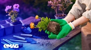 Българите са поръчали 57% повече луковици, семена и разсад за градините си тази година