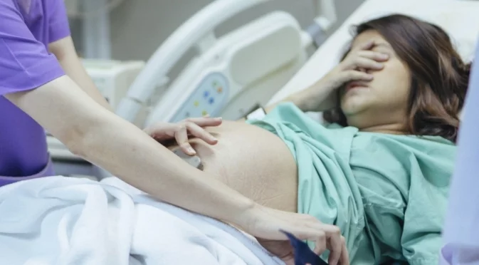 Учени: Гените на бащата изграждат плацентата