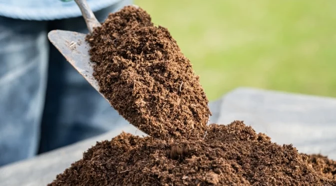 Най-добрите начини за използване на дървени въглища в градината