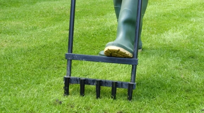 Как да наторите моравата си тази есен за най-буйната и здрава трева през пролетта