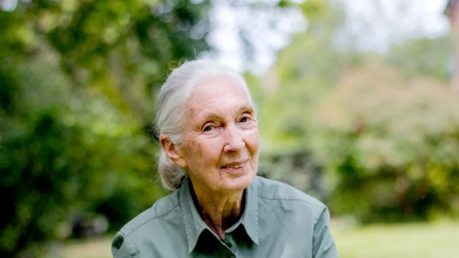 Viasat Nature почита Джейн Гудол: Завет за състрадание и опазване на природата