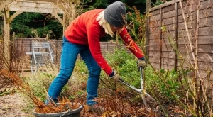 7 неща, които трябва да направите през октомври, за да оцелеят растенията ви през зимата