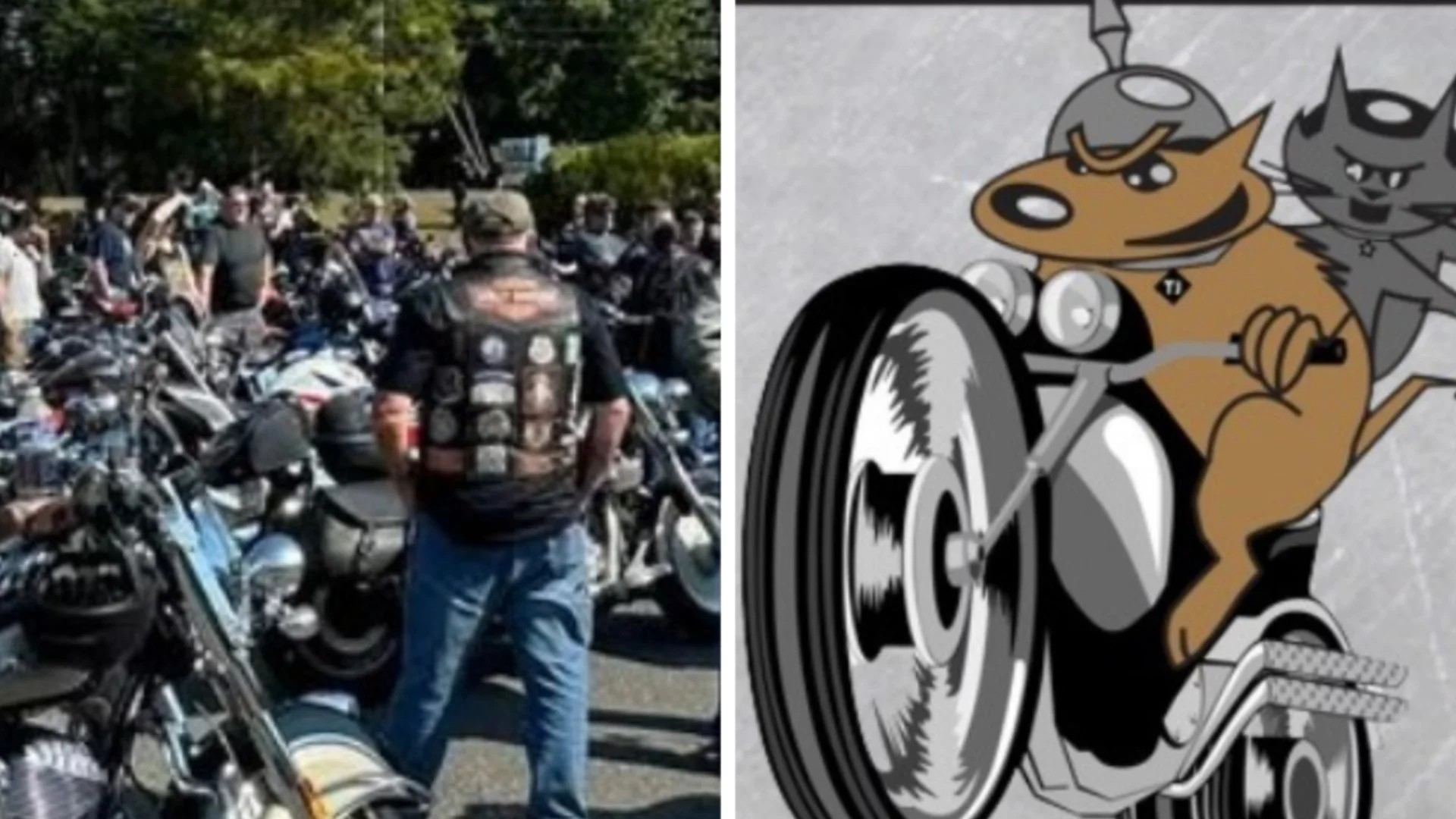 Благотворително мото събитие събра голяма сума в помощ на бездомни животни (ВИДЕО)