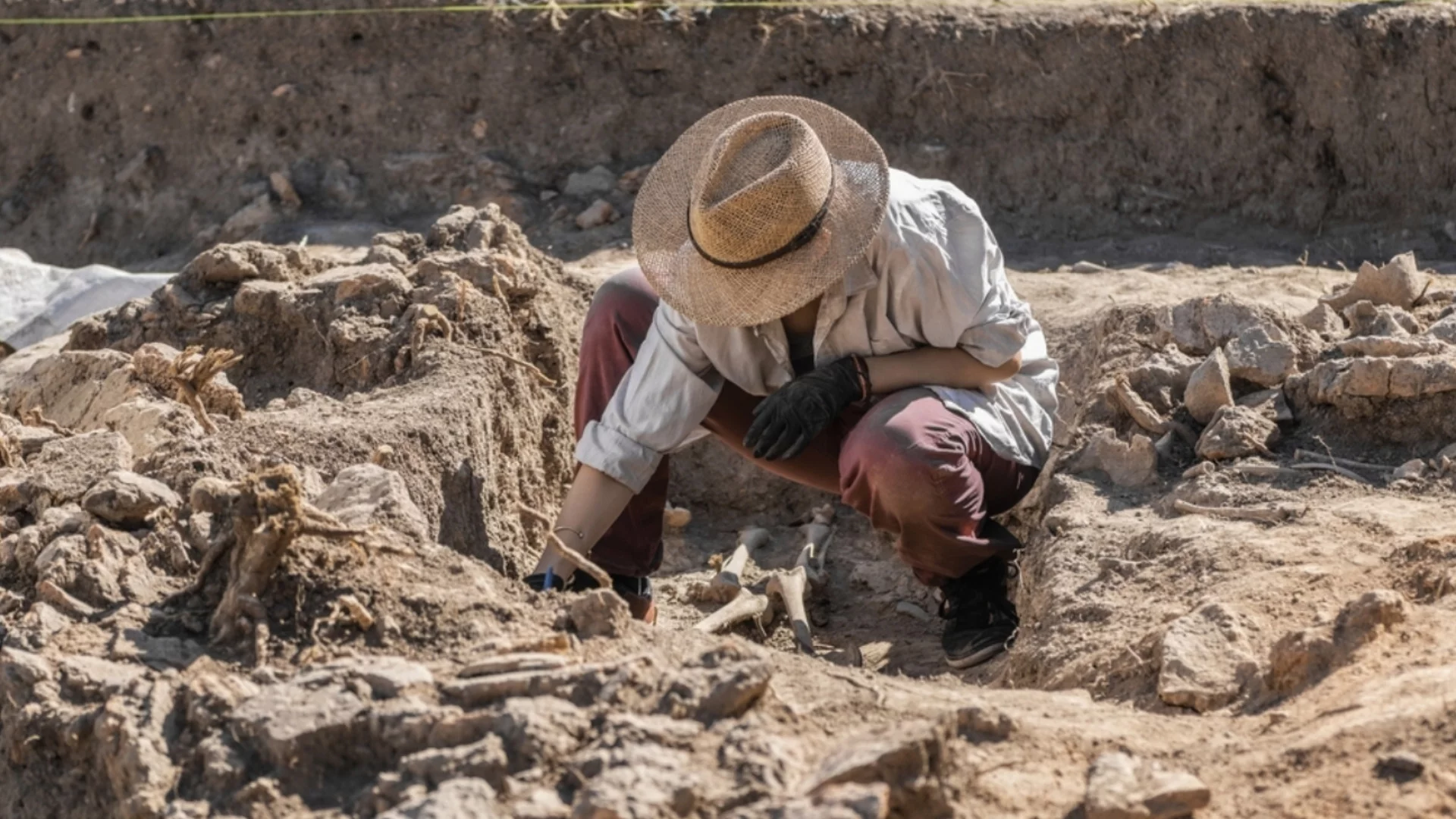 Стълб с издълбано човешко лице може да пренапише праисторията (ВИДЕО)