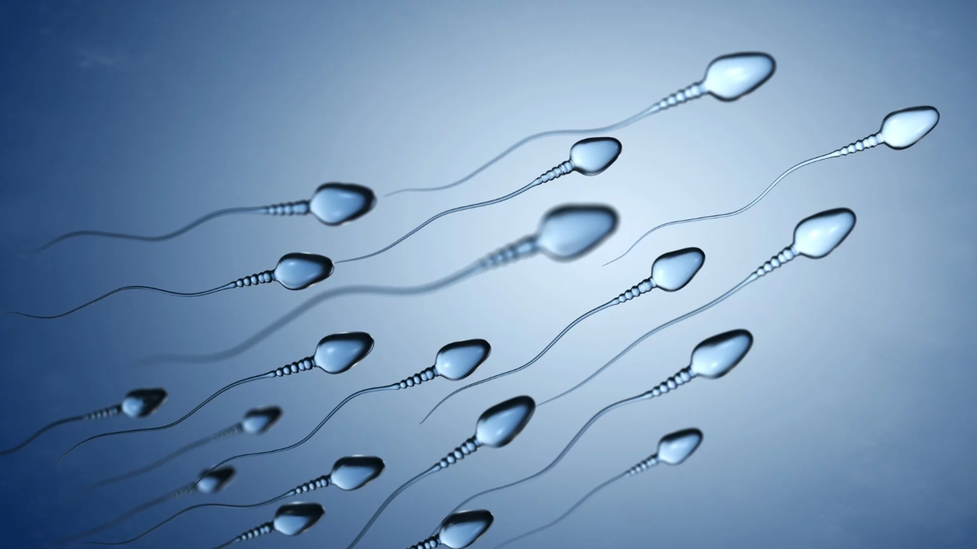 Човешките сперматозоиди пренебрегват основен закон на физиката