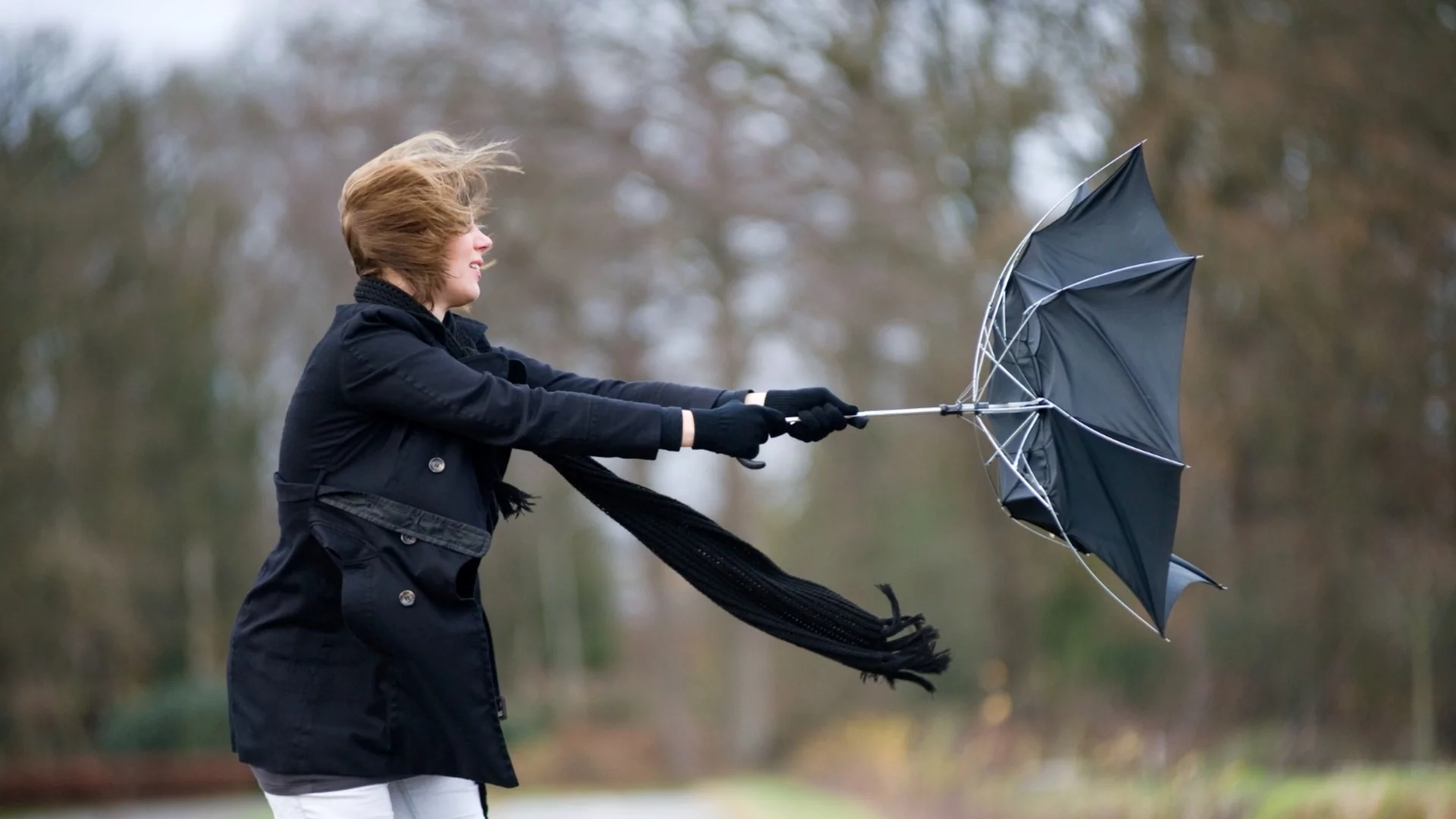 Силният вятър в Добрич засега не е причинил щети