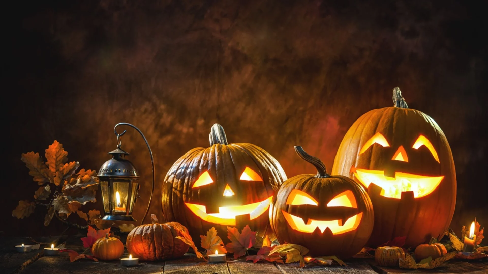 10 следствия от забраната на Хелоуин в Елин Пелин 