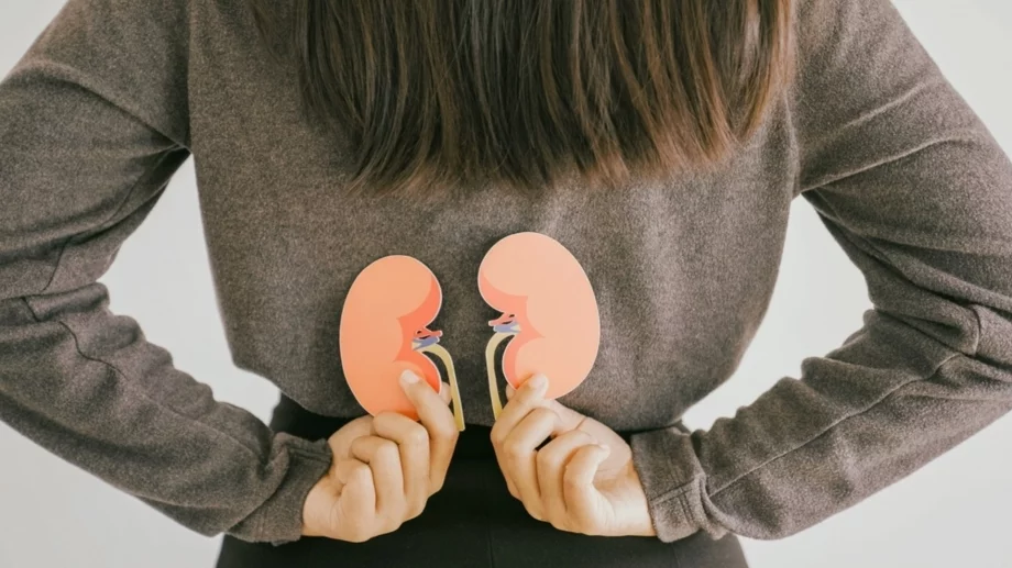 5 сутрешни навика, които могат да увредят бъбреците