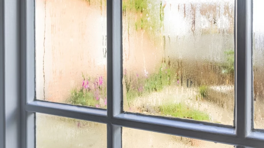 Как да си направите влагоабсорбатор? Ръководство стъпка по стъпка