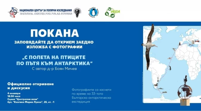 От Черно море до ледената Антарктика – изложба в Централни хали разкрива удивителното разнообразие на птиците по света