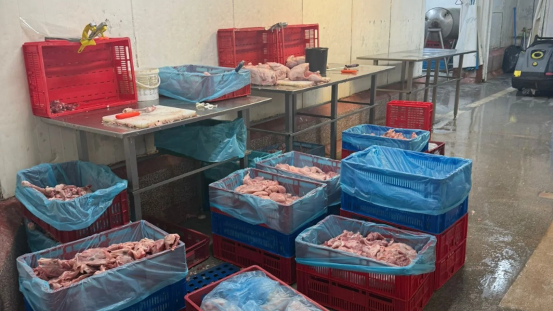 Откриха 70 тона пилешко месо без документи: Има ли риск за потребителите?