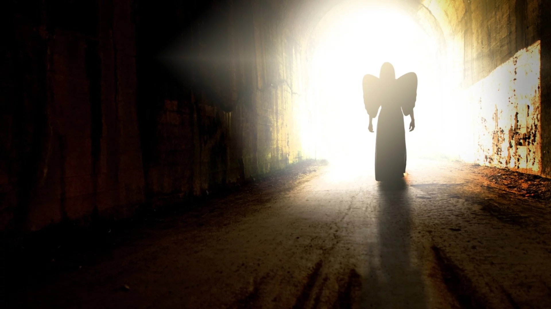 Тези 3 зодиакални знака се раждат със стара душа