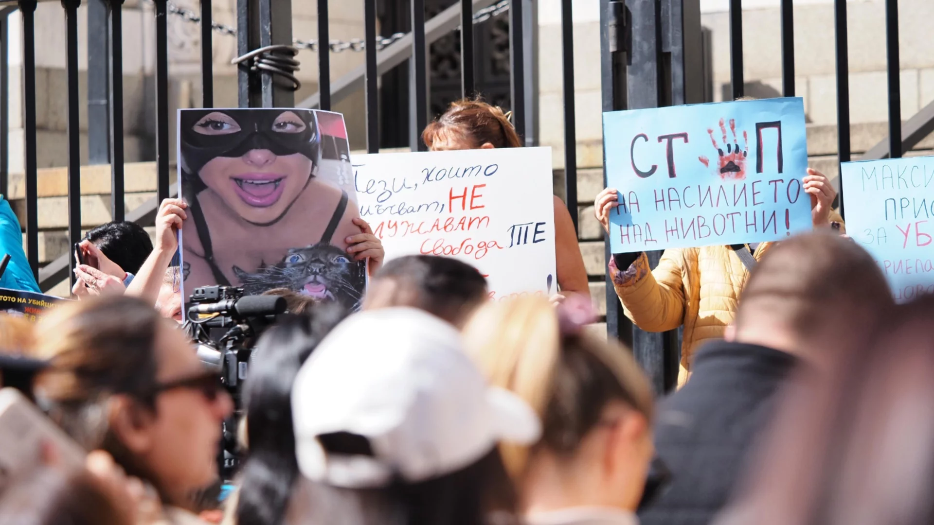 Убийците на животни от Перник се изправят пред съда