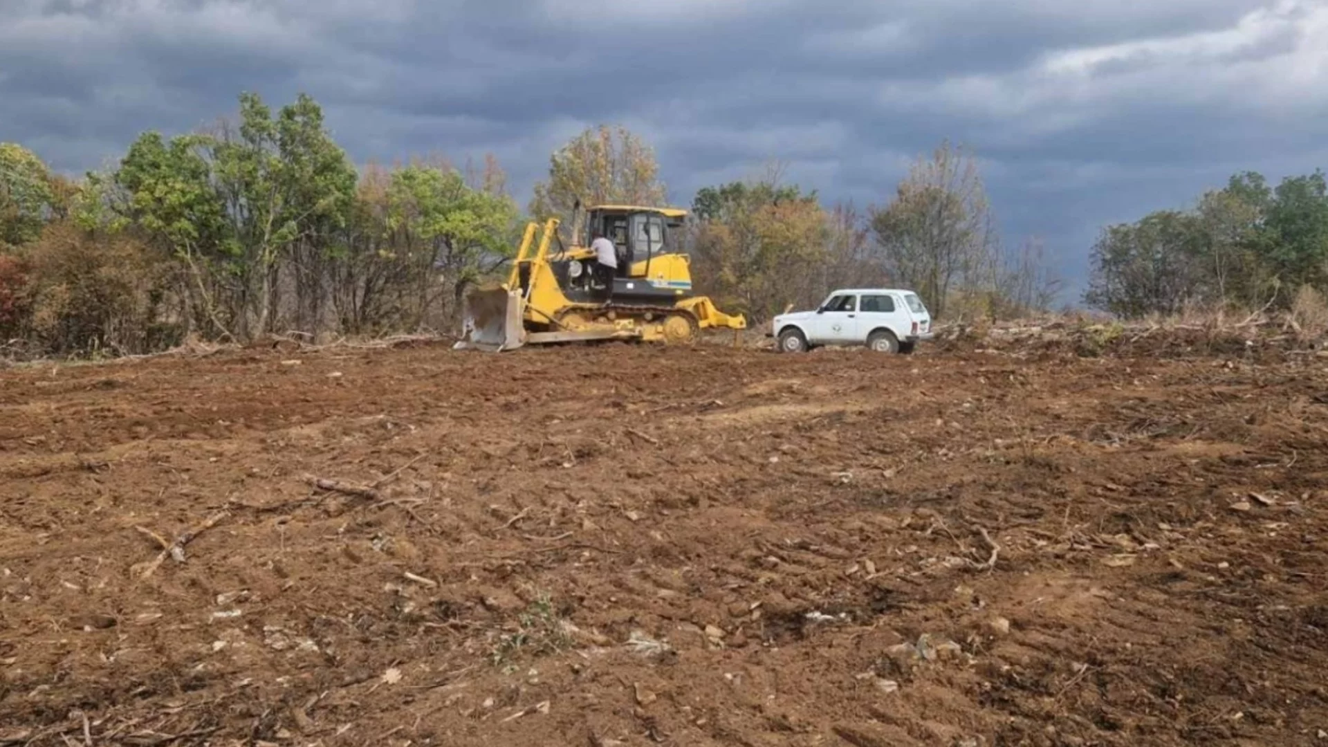 Засаждат нови 13 000 фиданки в Стара Загора