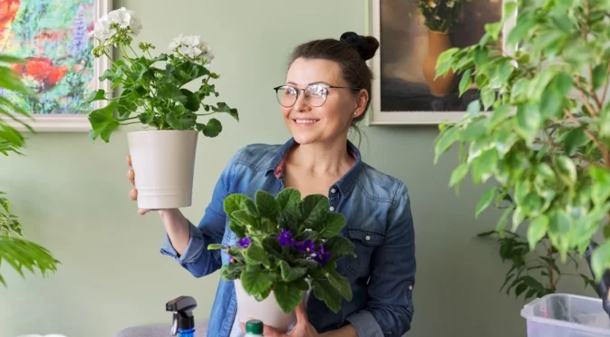 Как да накарате стайните си растения да цъфтят през зимата  