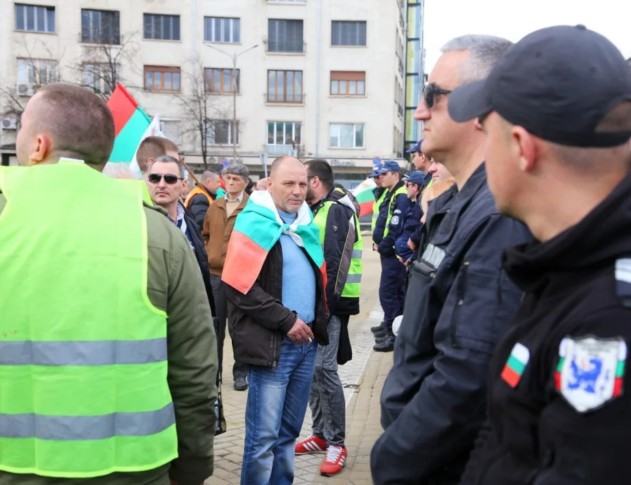 Прегазиха куче пред Народното събрание, посрещат там и волейболистите, има също фестивал на саламуреното сирене 