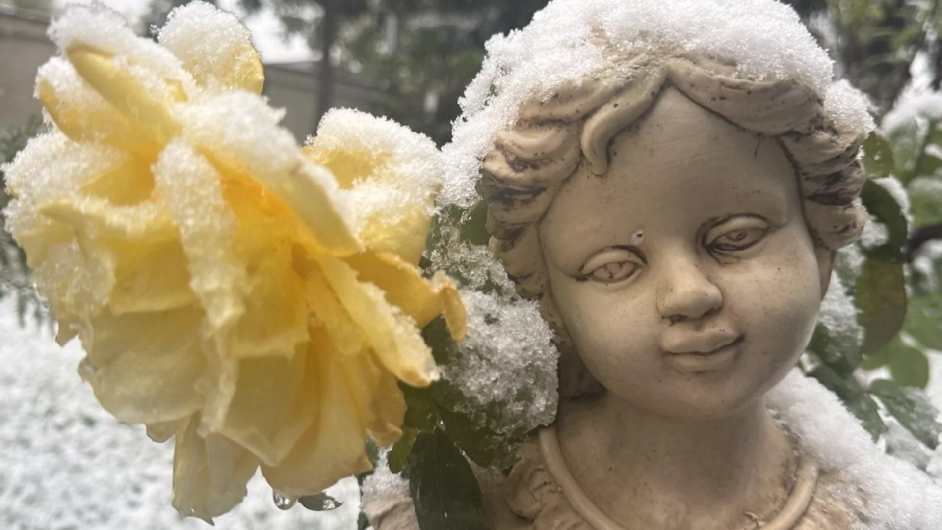 Сняг изненада Хърватия (ВИДЕО)