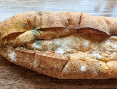 Дори да изглеждат добре: 5 храни, които могат да имат скрита плесен